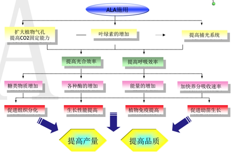 微信截图_20240703162120.jpg