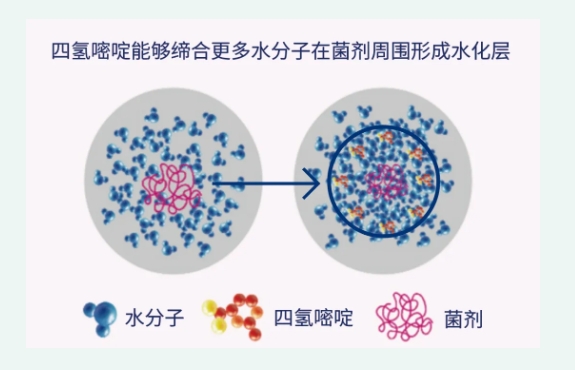 Ect-S被称为“菌剂保护神”，让菌剂保持高活性