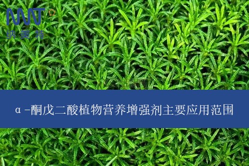 α-酮戊二酸植物营养增强剂主要应用范围