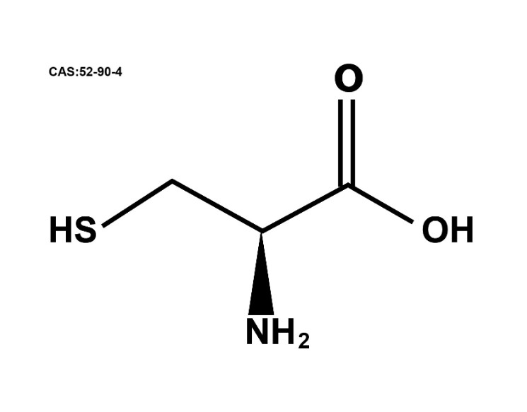 探究 L - 半胱氨酸与人体健康的密切关系​